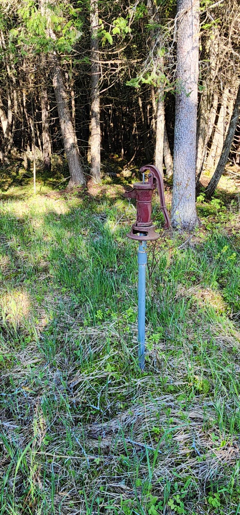 RentalsMLS Rental Additional Image