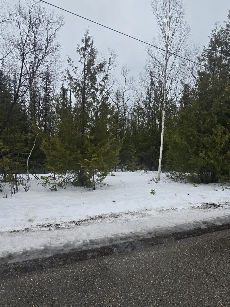 RentalsMLS Rental Main Image