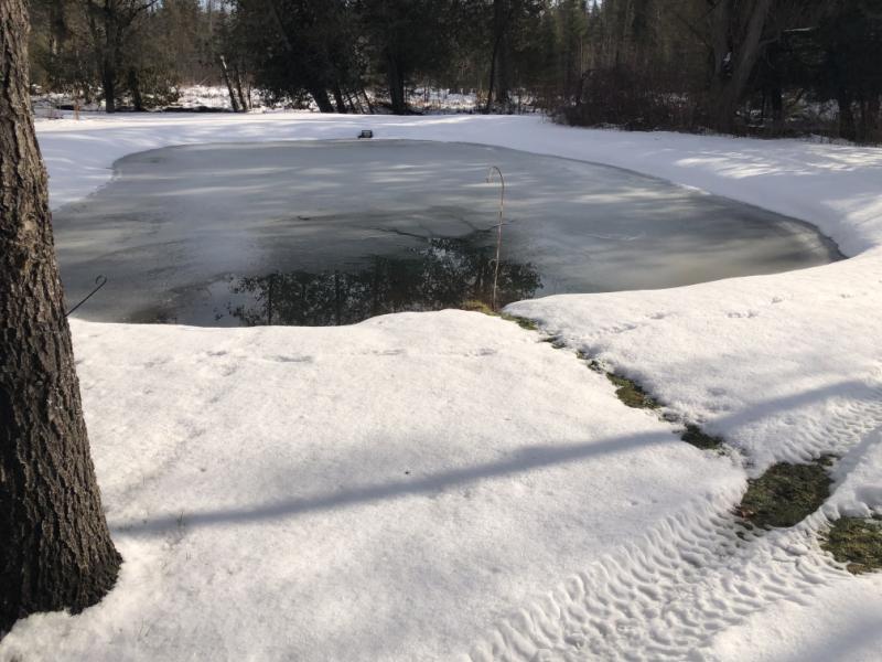 RentalsMLS Rental Additional Image