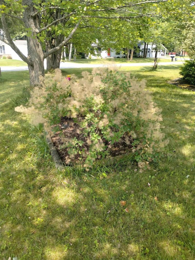 RentalsMLS Rental Additional Image