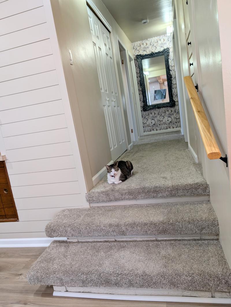 RentalsMLS Rental Additional Image