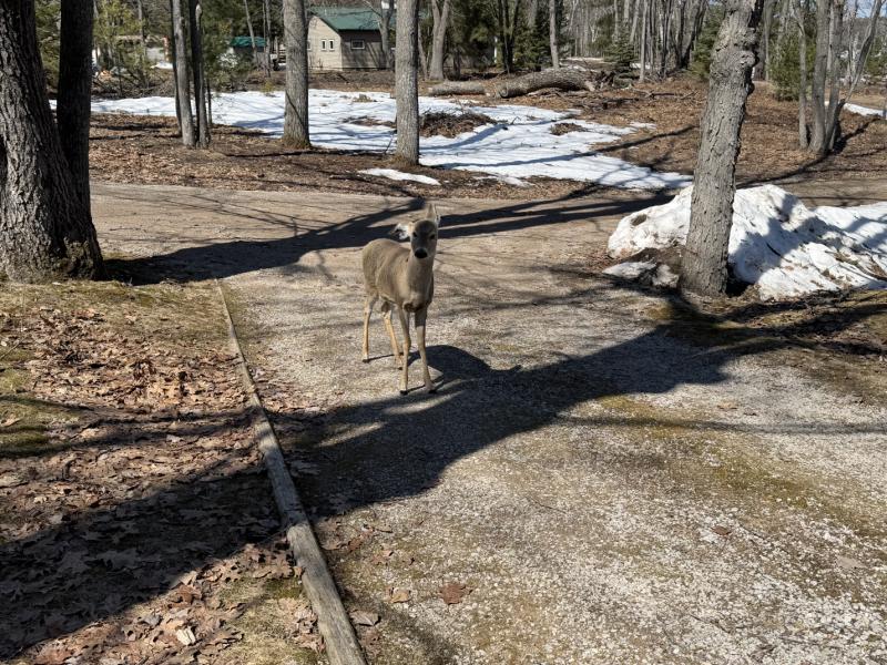 RentalsMLS Rental Additional Image