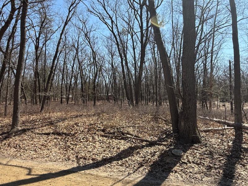 RentalsMLS Rental Additional Image