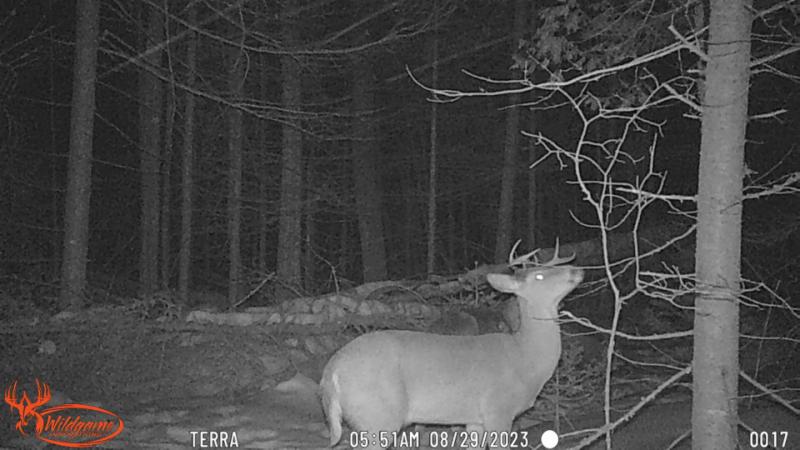 RentalsMLS Rental Additional Image