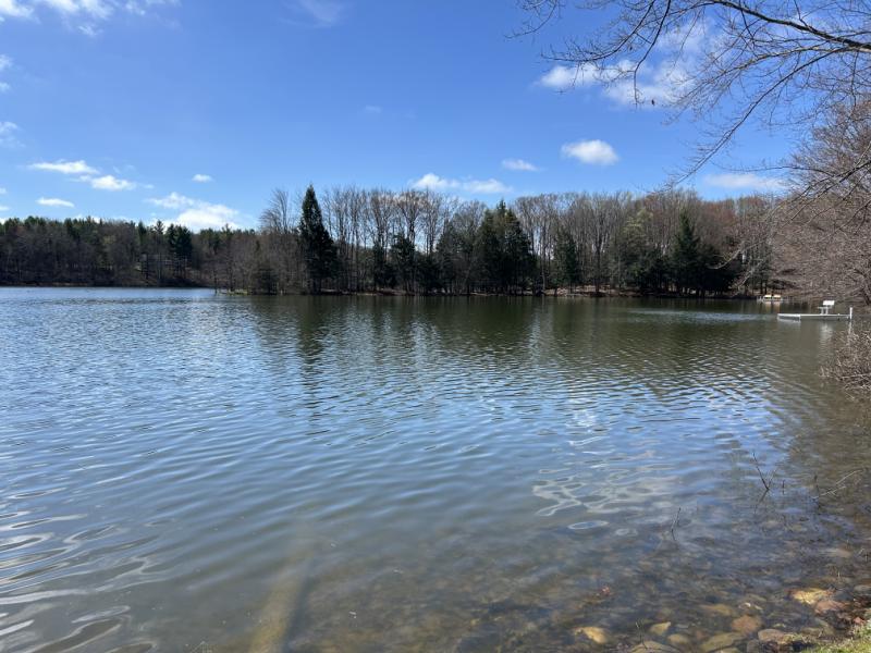 RentalsMLS Rental Additional Image