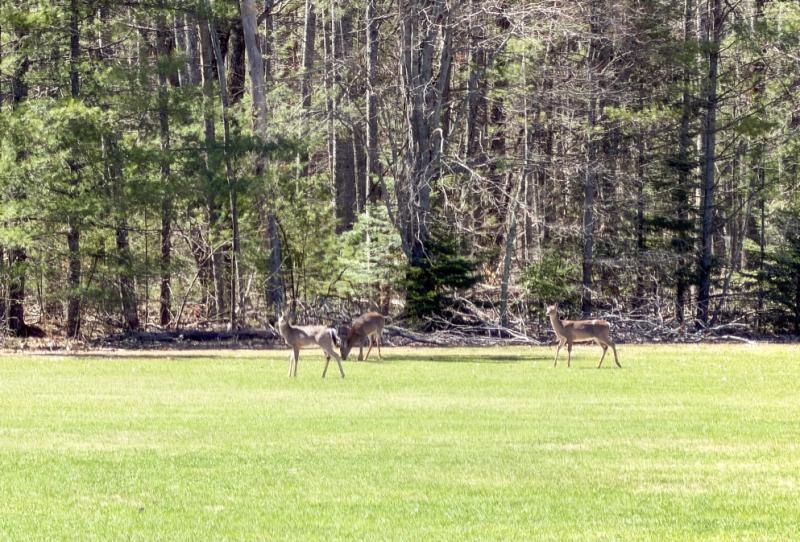 RentalsMLS Rental Additional Image