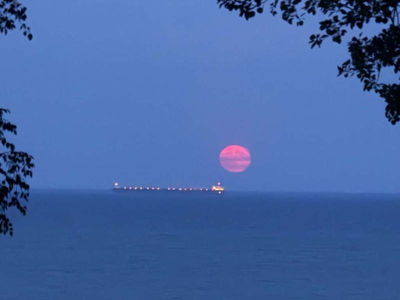 RentalsMLS Rental Additional Image