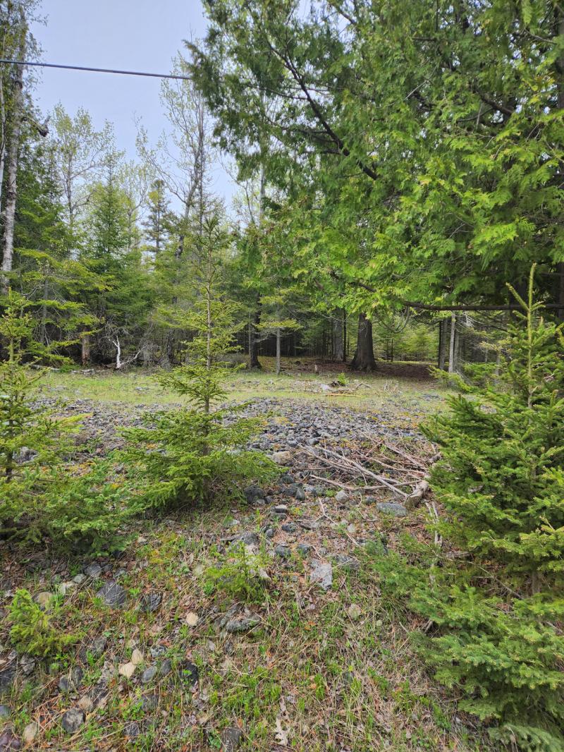RentalsMLS Rental Main Image