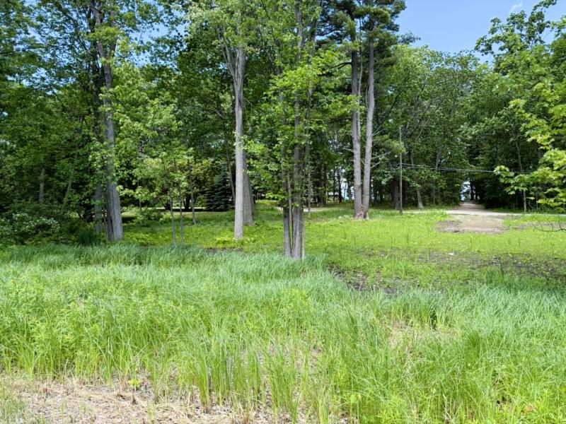 Rental 201555 Main Image