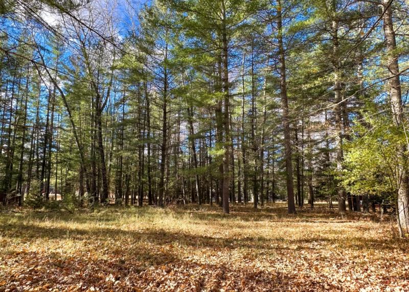 Rental 202540 Main Image