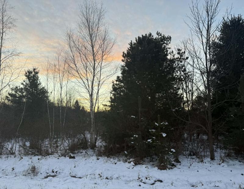 Rental 202859 Main Image