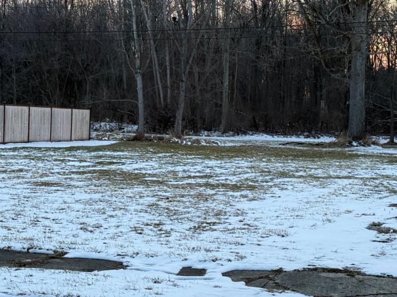 Rental 203084 Main Image