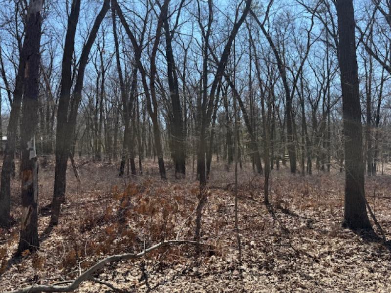 Rental 203357 Main Image