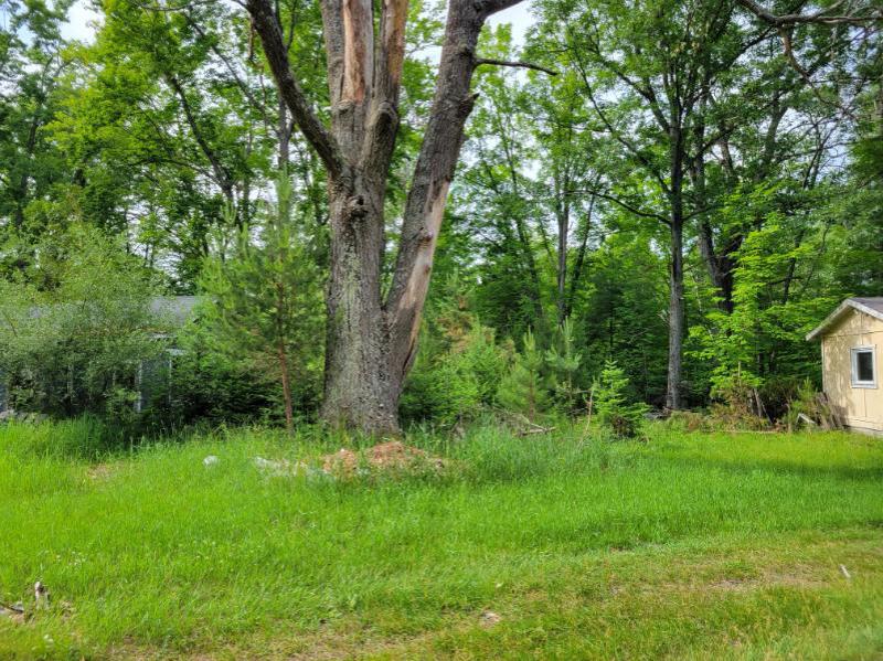 Rental 204054 Main Image