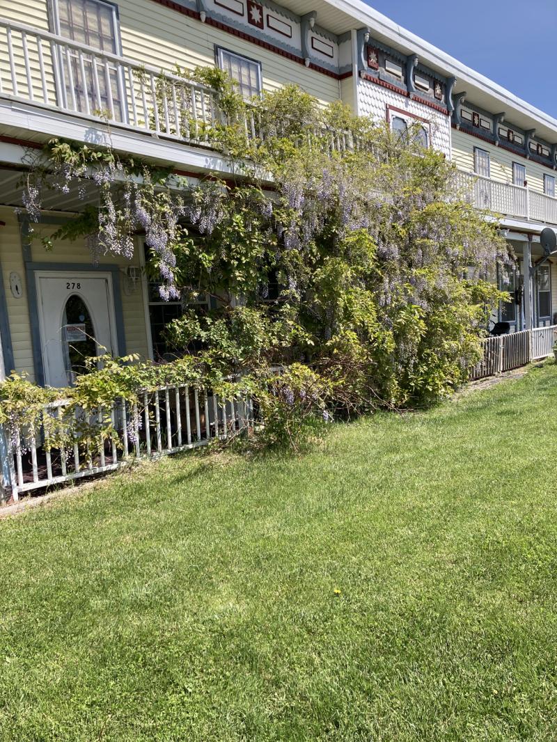 RentalsMLS Rental Additional Image