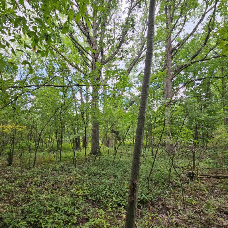 RentalsMLS Rental Main Image