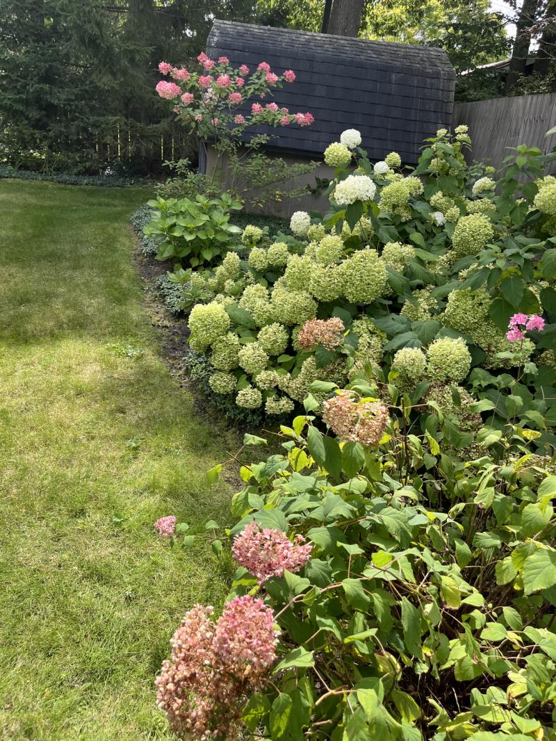 RentalsMLS Rental Additional Image