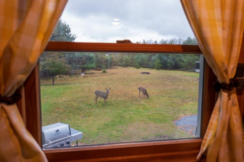 RentalsMLS Rental Additional Image