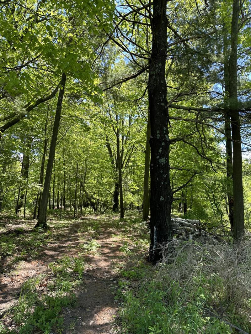 RentalsMLS Rental Main Image