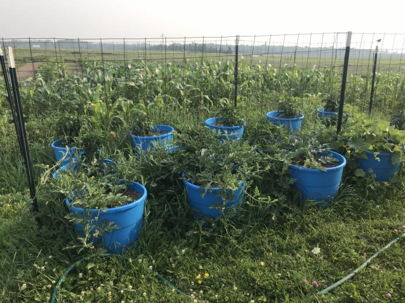 RentalsMLS Rental Additional Image