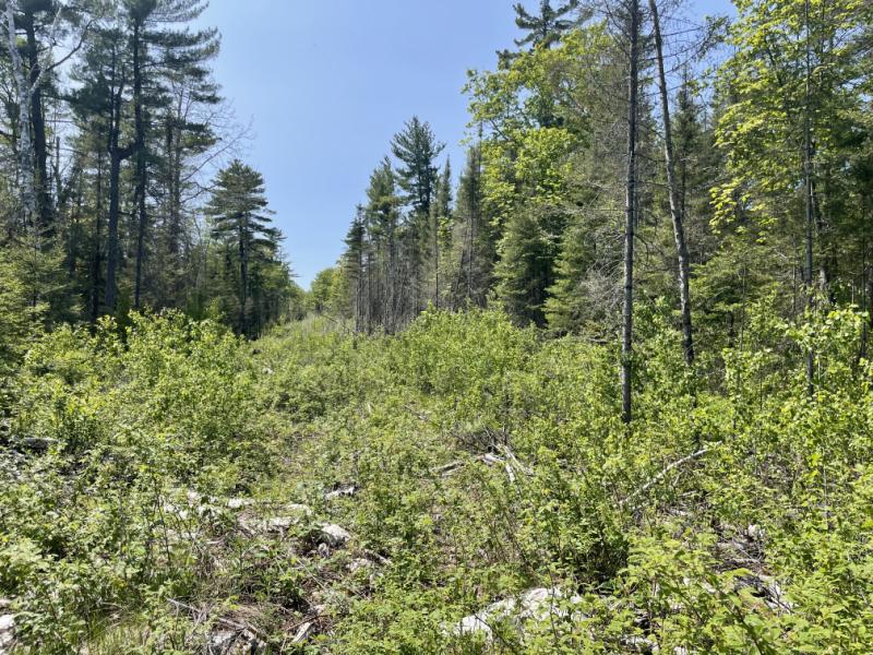 RentalsMLS Rental Main Image