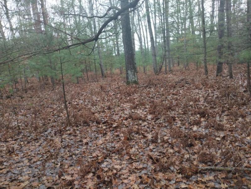 RentalsMLS Rental Main Image