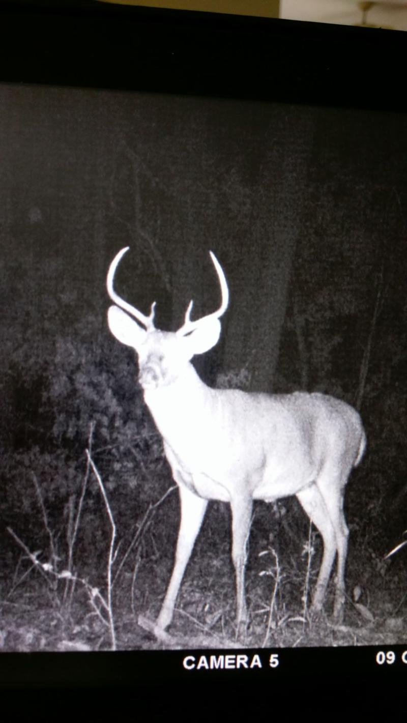 RentalsMLS Rental Additional Image