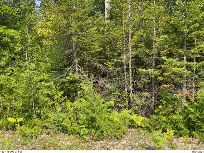 RentalsMLS Rental Main Image