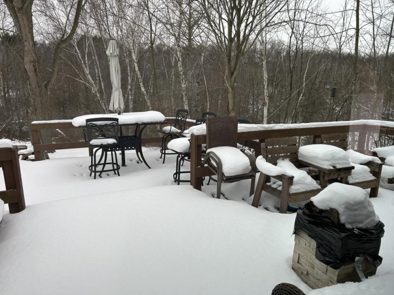 RentalsMLS Rental Additional Image