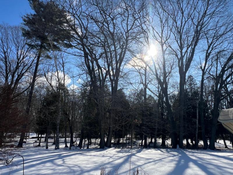 RentalsMLS Rental Additional Image