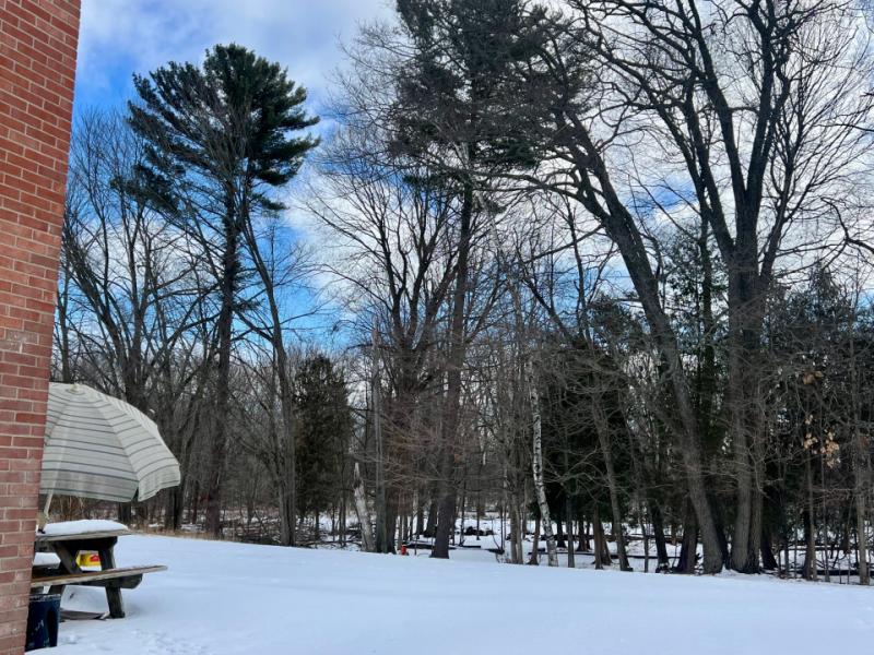 RentalsMLS Rental Additional Image