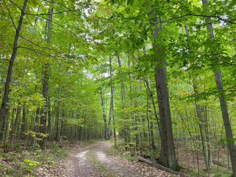 RentalsMLS Rental Main Image