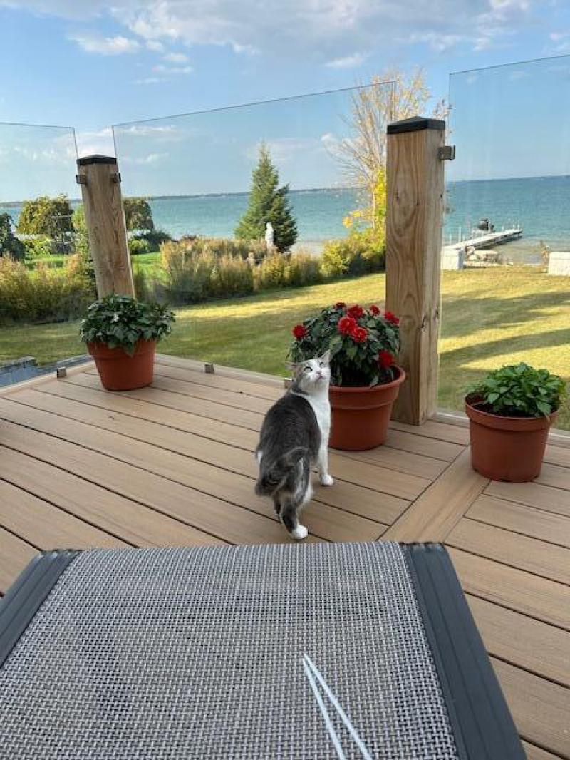 RentalsMLS Rental Additional Image