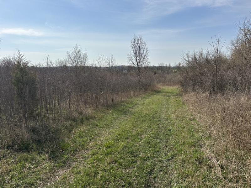 RentalsMLS Rental Additional Image