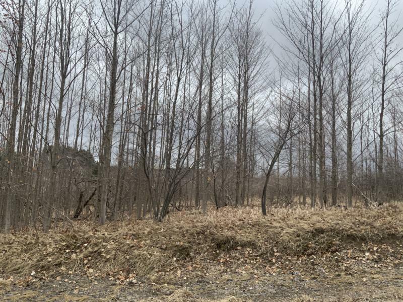 RentalsMLS Rental Main Image