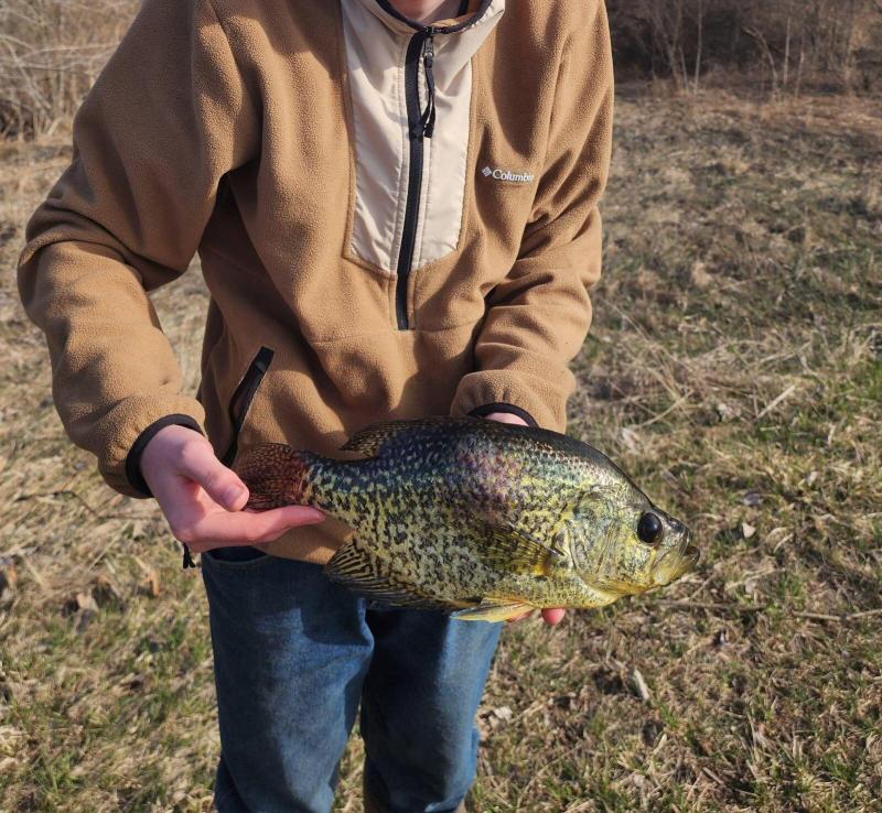 RentalsMLS Rental Additional Image