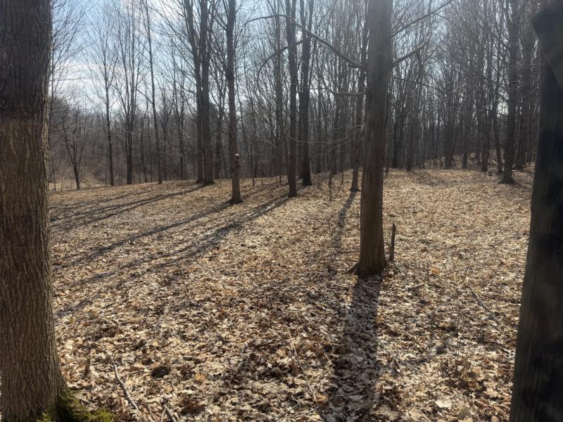 RentalsMLS Rental Main Image