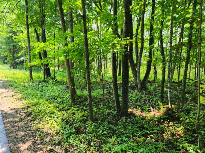 RentalsMLS Rental Main Image