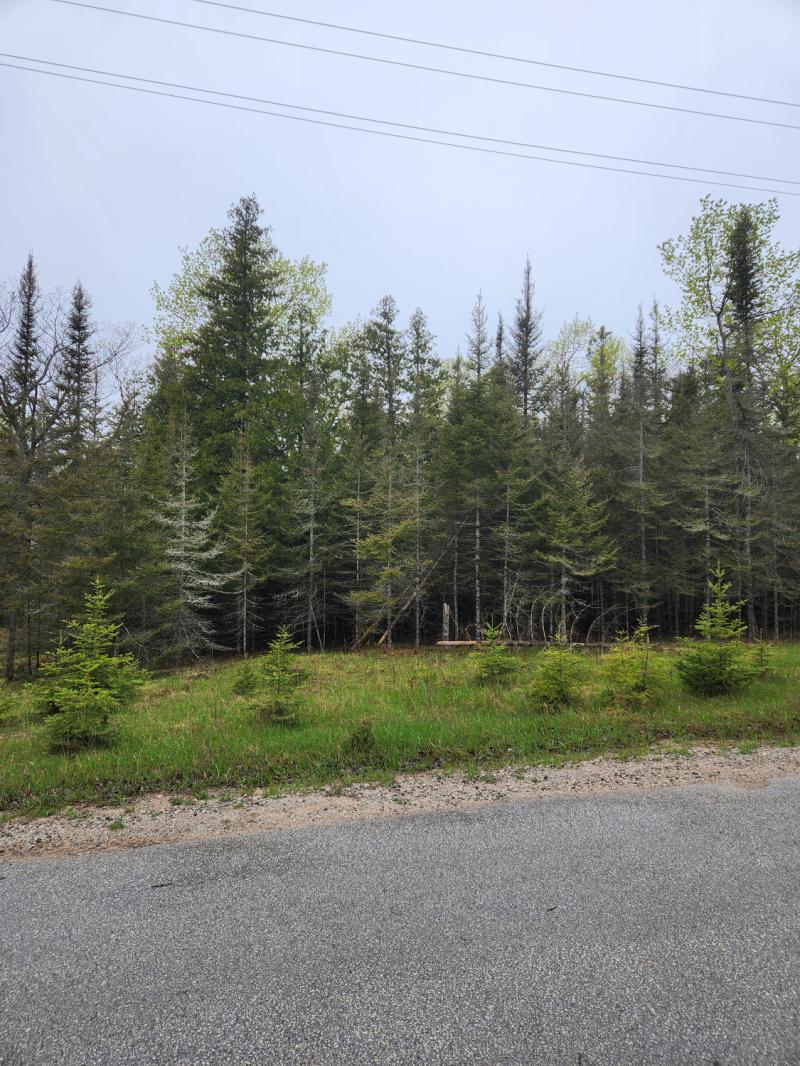 RentalsMLS Rental Main Image