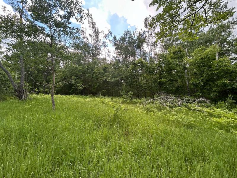 RentalsMLS Rental Main Image