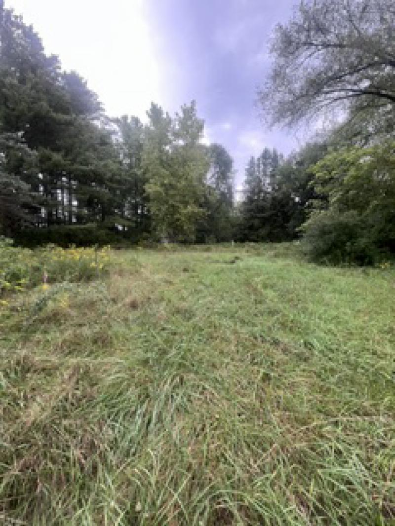 RentalsMLS Rental Main Image