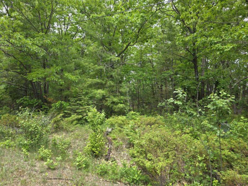 Rental 201405 Main Image