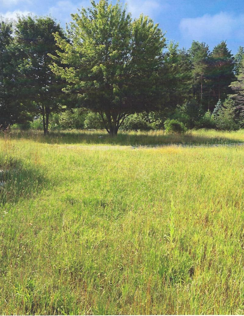 Rental 201678 Main Image