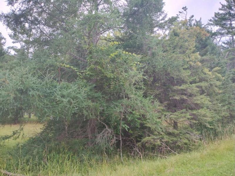 Rental 201933 Main Image