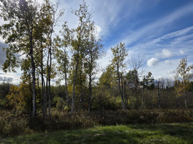 Rental 202482 Main Image