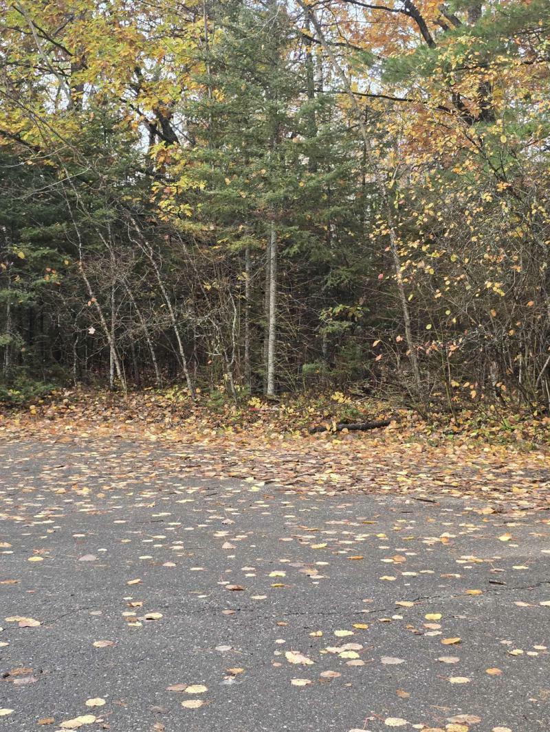 Rental 202508 Main Image