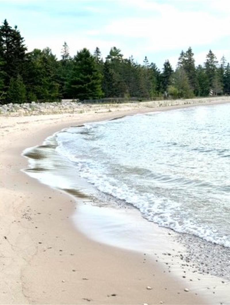 Rental 202584 Main Image