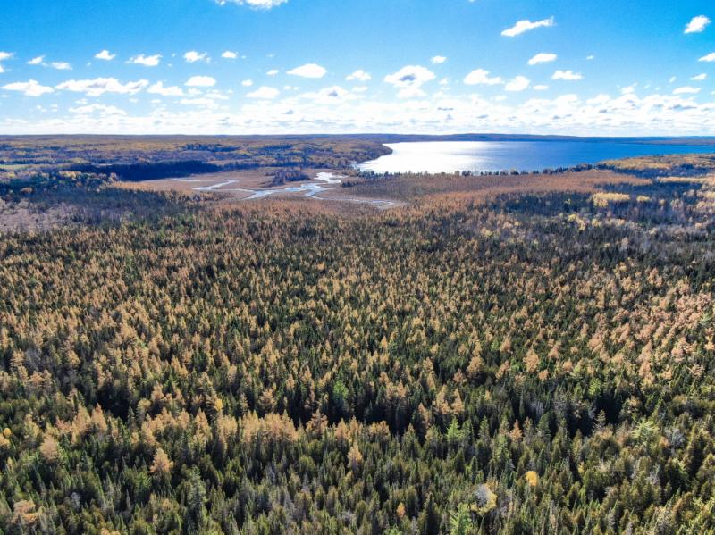 Rental 202603 Main Image