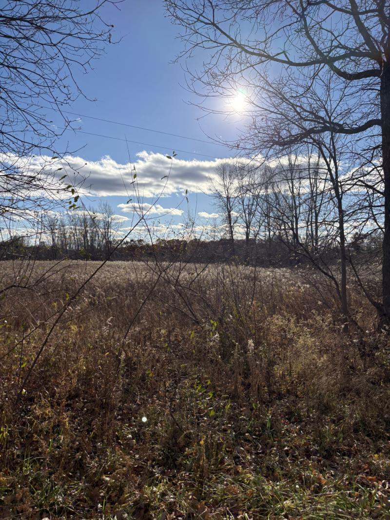 Rental 202622 Main Image