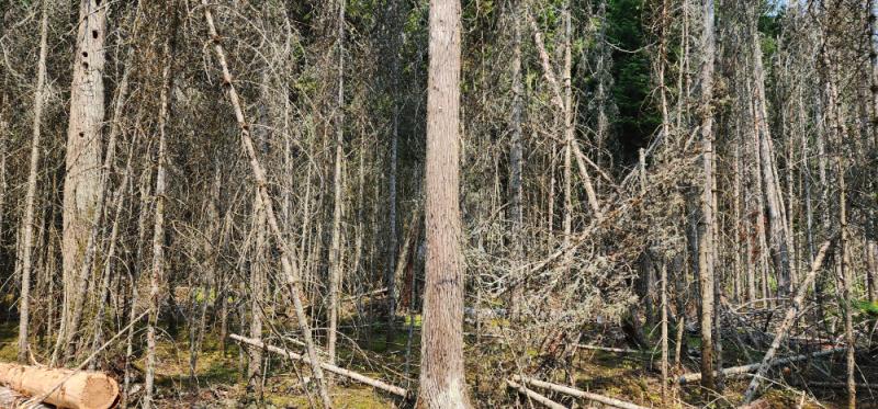 Rental 202644 Main Image